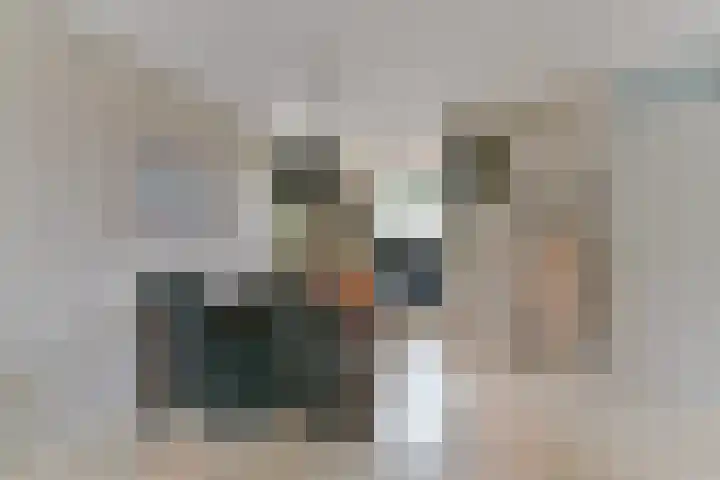 Frederik van Eedenhove 7 Nieuwegein thumbnail 16