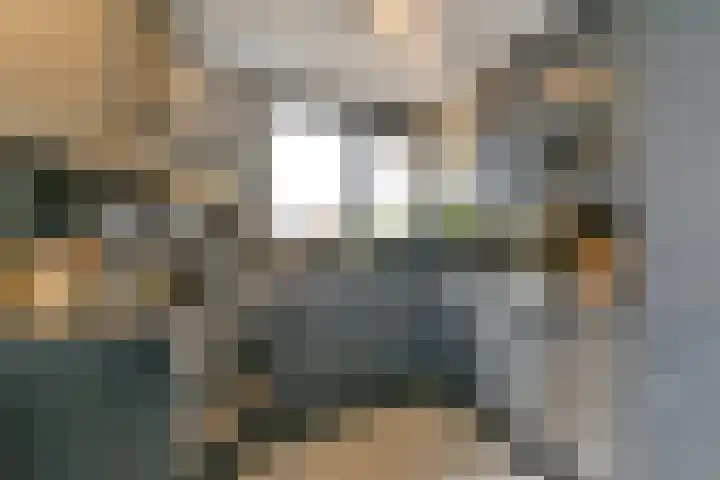Frederik van Eedenhove 7 Nieuwegein thumbnail 18