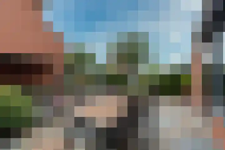Frederik van Eedenhove 7 Nieuwegein thumbnail 22