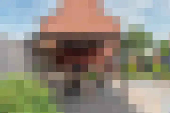 Frederik van Eedenhove 7 Nieuwegein thumbnail 24