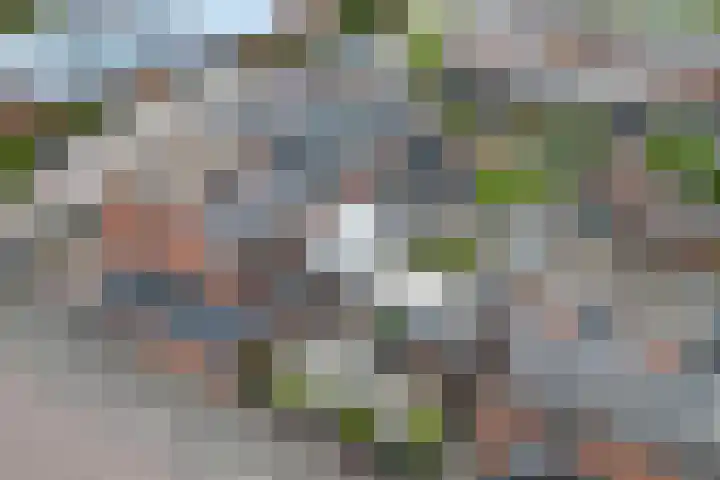 Frederik van Eedenhove 7 Nieuwegein thumbnail 27