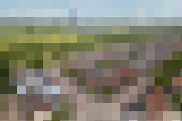 Frederik van Eedenhove 7 Nieuwegein thumbnail 52