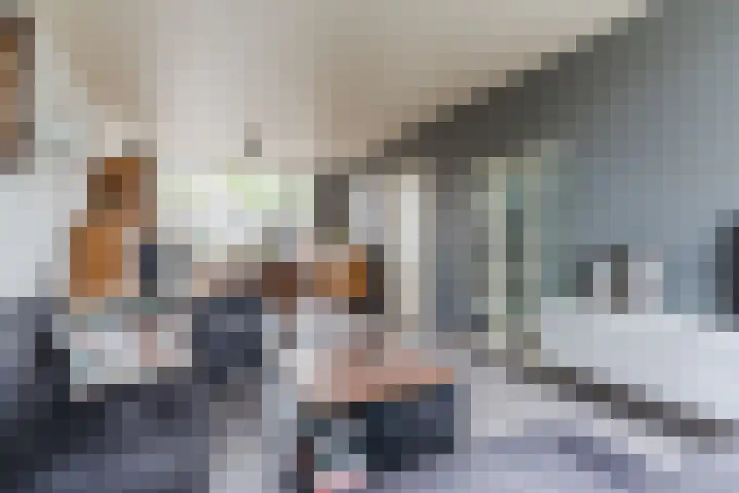 Frederik van Eedenlaan 12 Bladel thumbnail 10