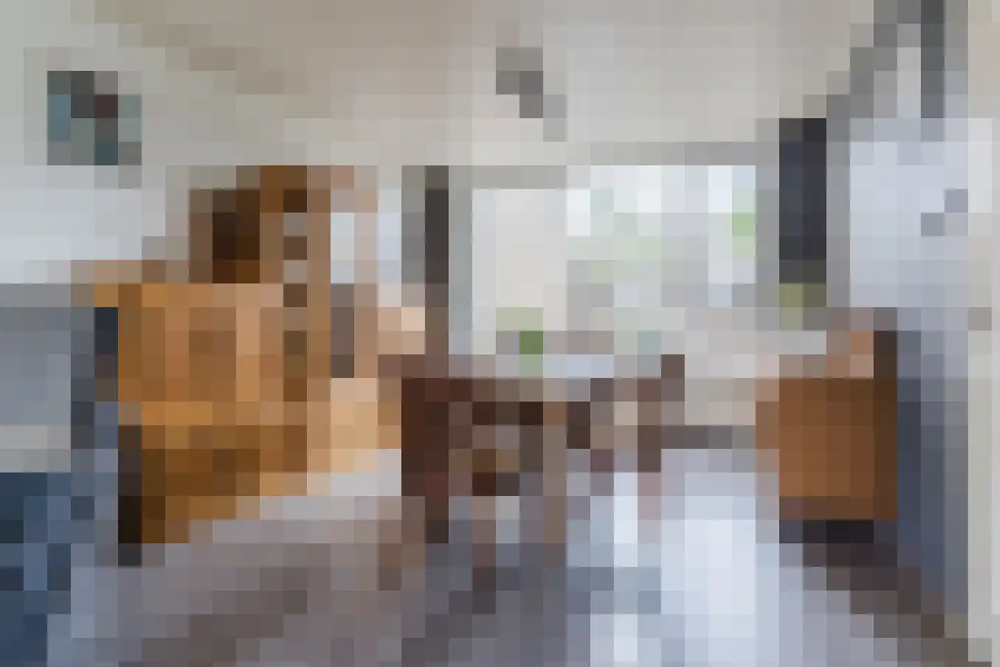 Frederik van Eedenlaan 12 Bladel thumbnail 11