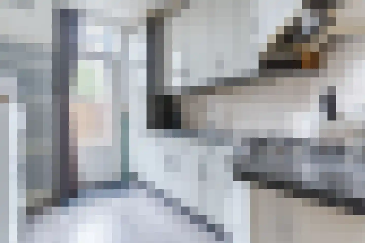 Frederik van Eedenlaan 12 Bladel thumbnail 13