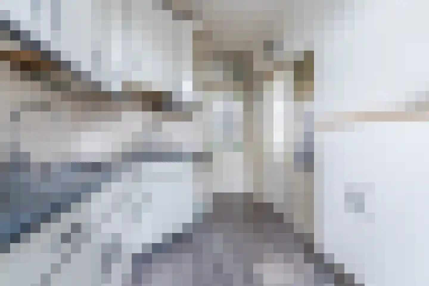 Frederik van Eedenlaan 12 Bladel thumbnail 14