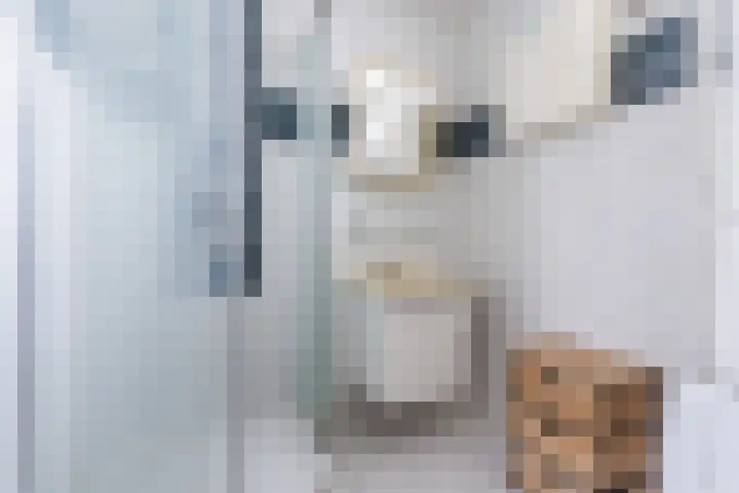 Frederik van Eedenlaan 12 Bladel thumbnail 20