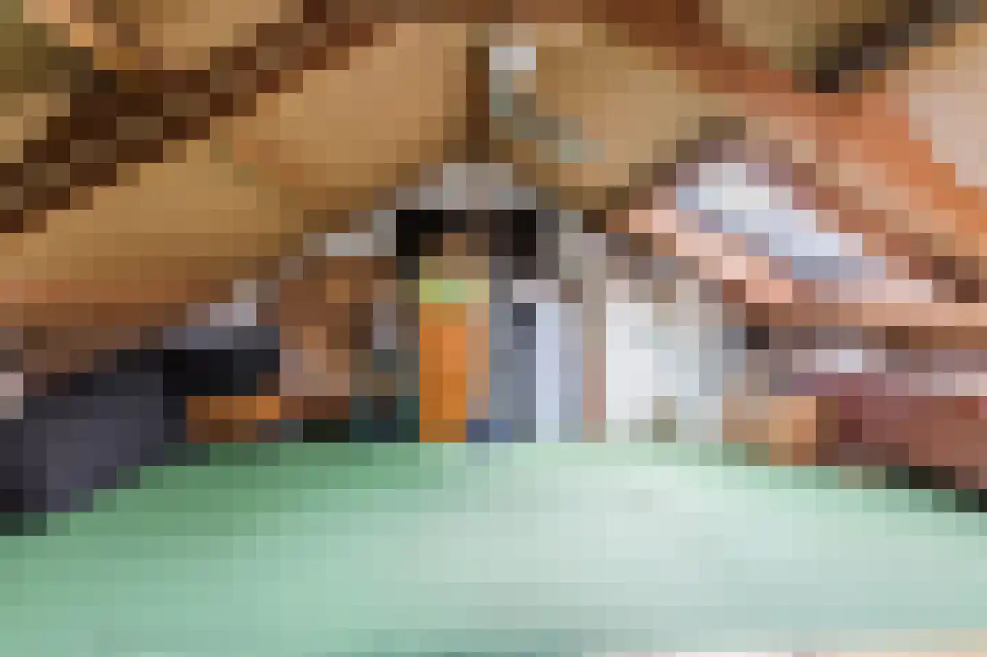 Frederik van Eedenlaan 12 Bladel thumbnail 21
