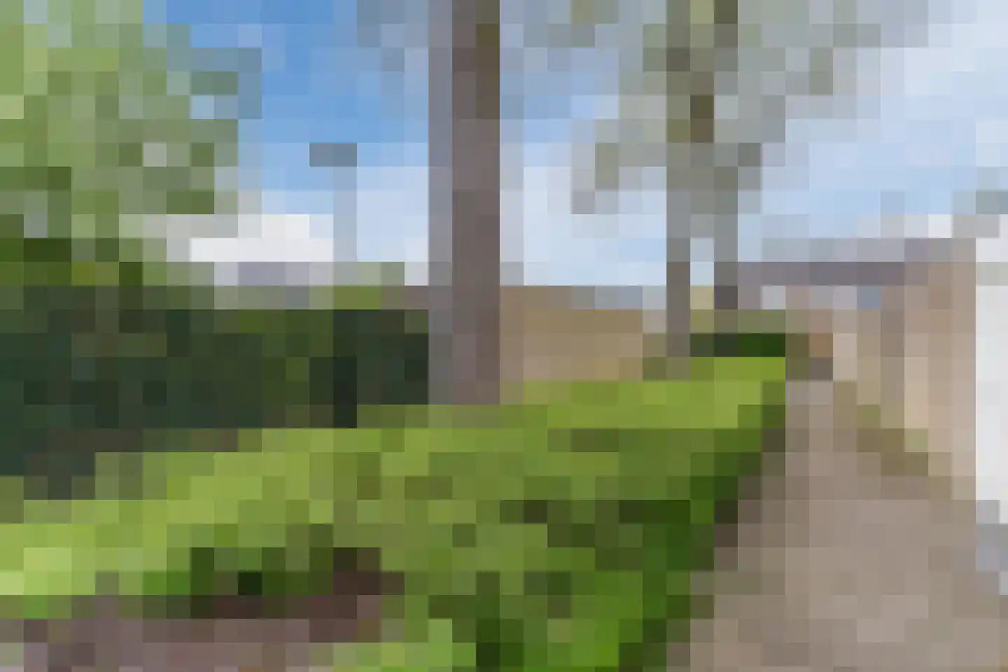 Frederik van Eedenlaan 12 Bladel thumbnail 25