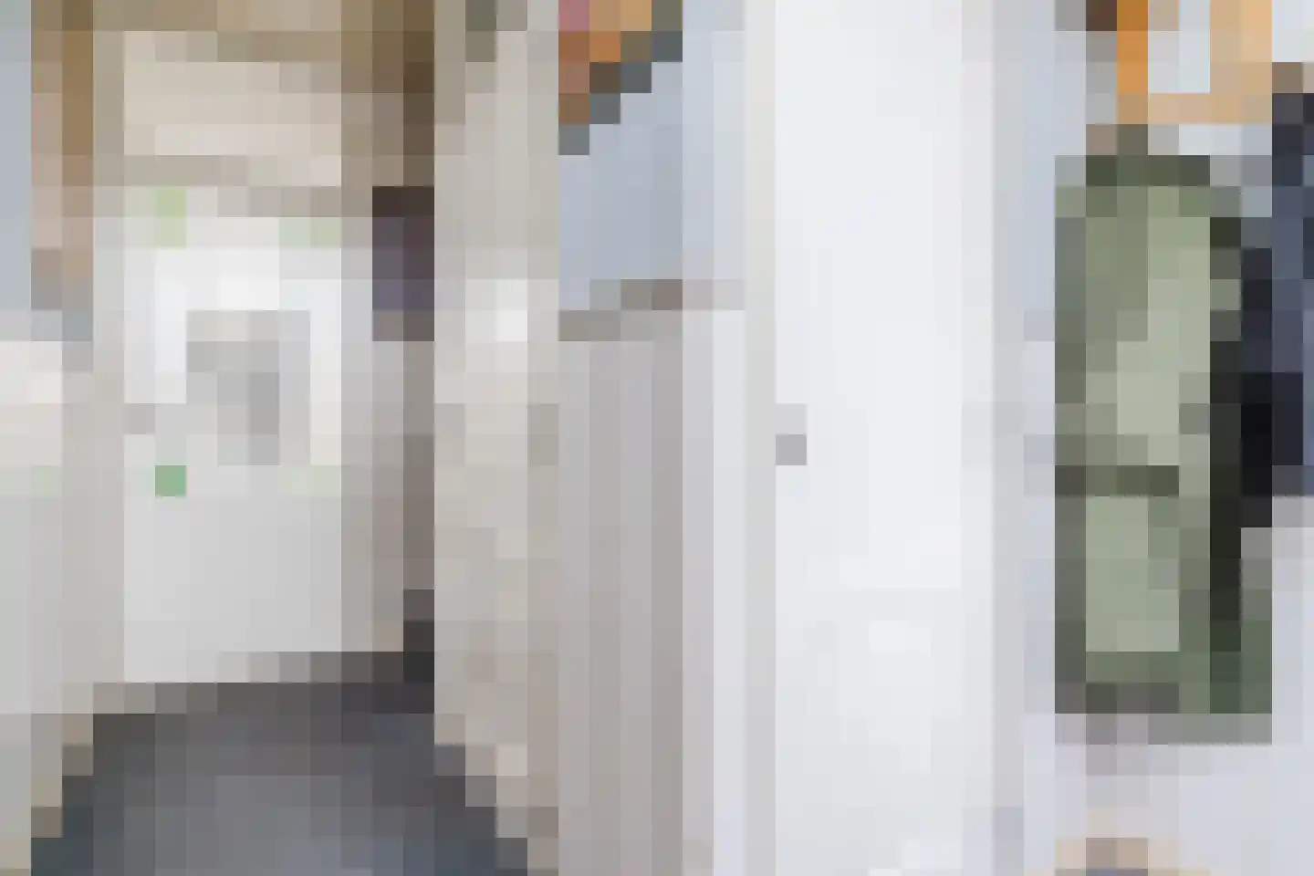 Frederik van Eedenlaan 12 Bladel thumbnail 5