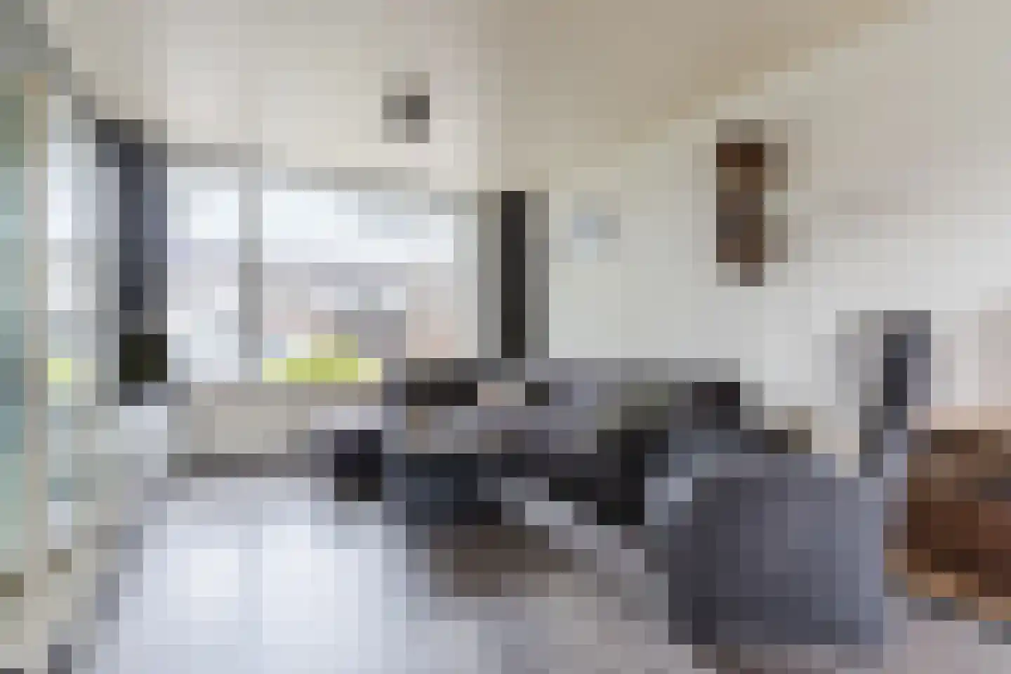 Frederik van Eedenlaan 12 Bladel thumbnail 7