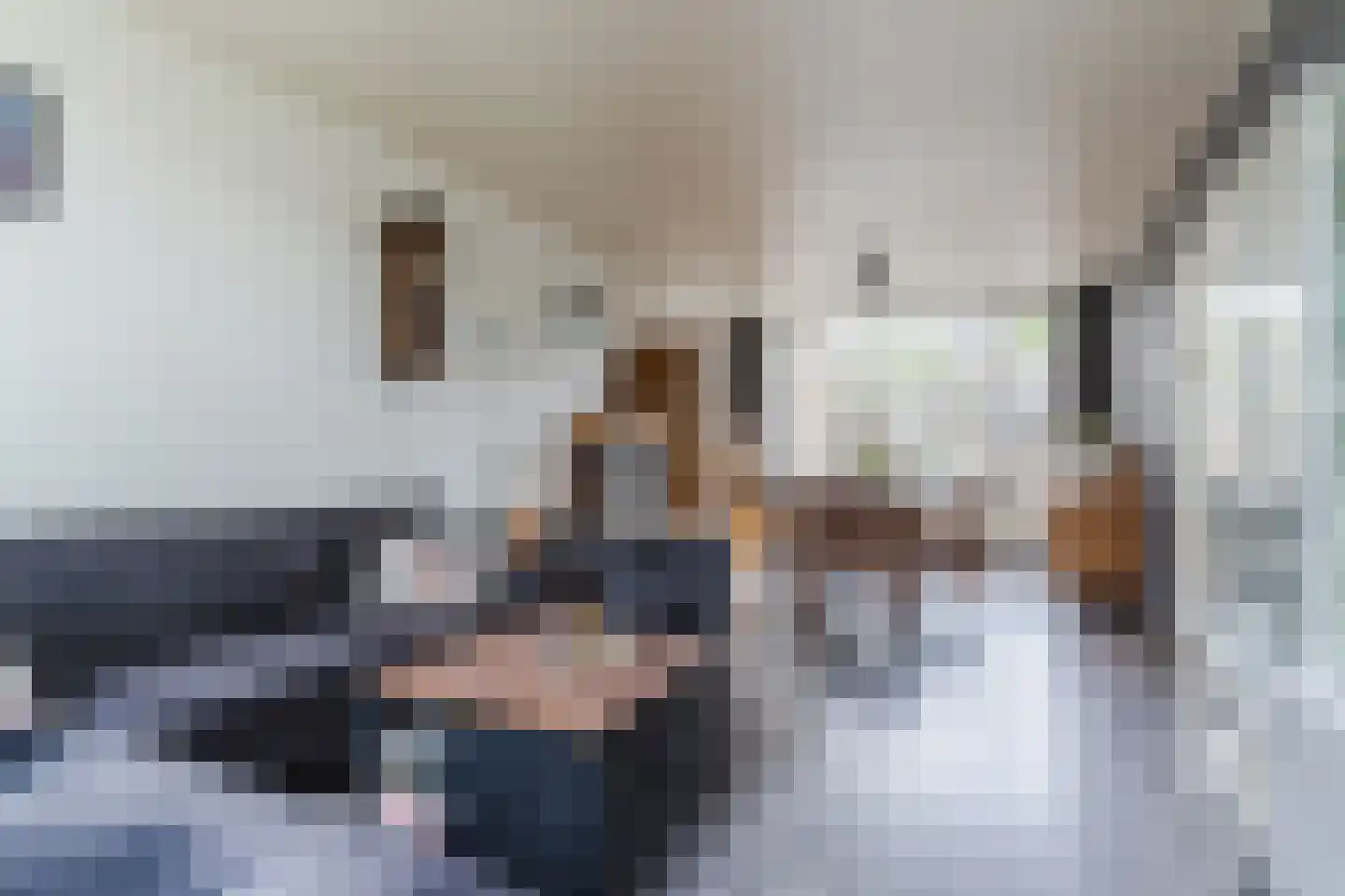Frederik van Eedenlaan 12 Bladel thumbnail 9