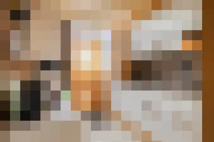 Frederik van Eedenlaan 16 Bladel thumbnail 11