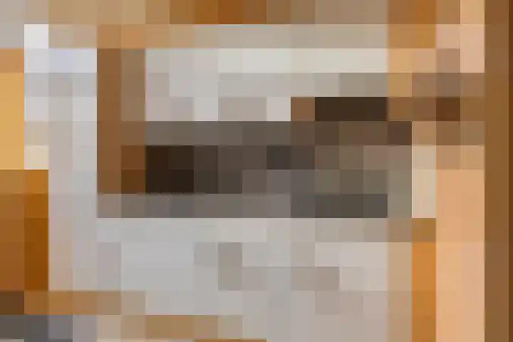 Frederik van Eedenlaan 16 Bladel thumbnail 12