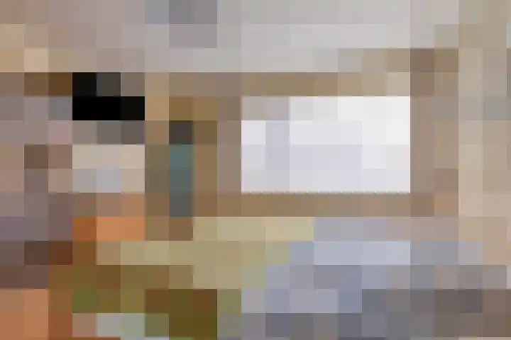 Frederik van Eedenlaan 16 Bladel thumbnail 15