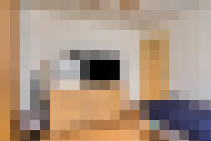Frederik van Eedenlaan 16 Bladel thumbnail 18