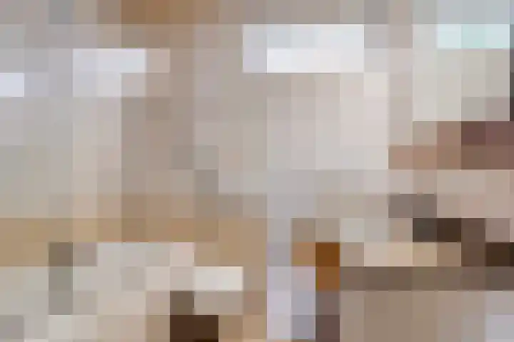 Frederik van Eedenlaan 16 Bladel thumbnail 20