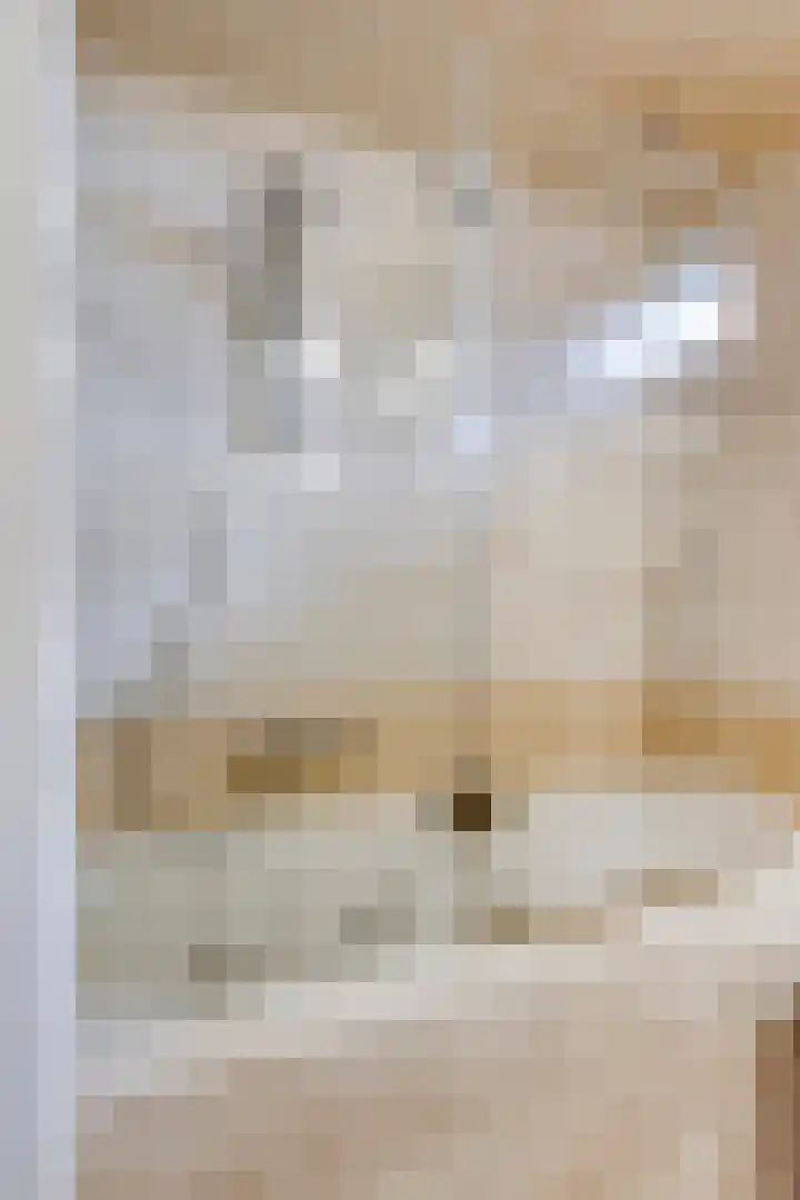 Frederik van Eedenlaan 16 Bladel thumbnail 21