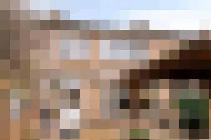 Frederik van Eedenlaan 16 Bladel thumbnail 28