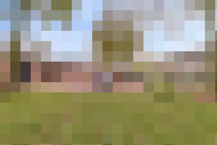 Frederik van Eedenlaan 16 Bladel thumbnail 29