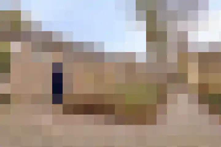 Frederik van Eedenlaan 16 Bladel thumbnail 30