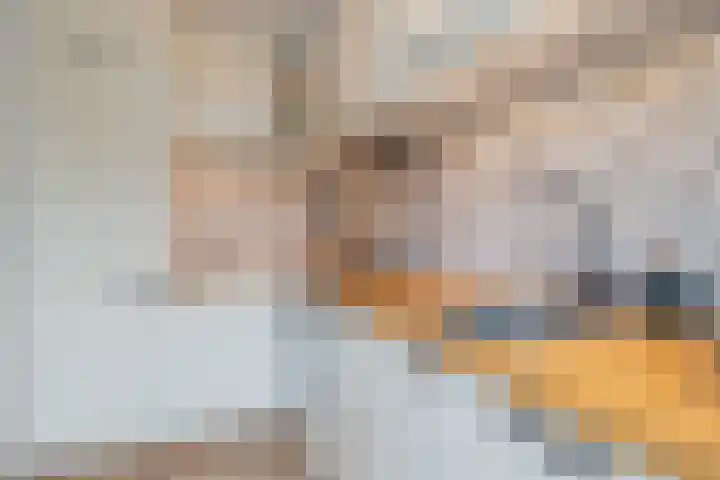 Frederik van Eedenlaan 19 Hillegom thumbnail 13