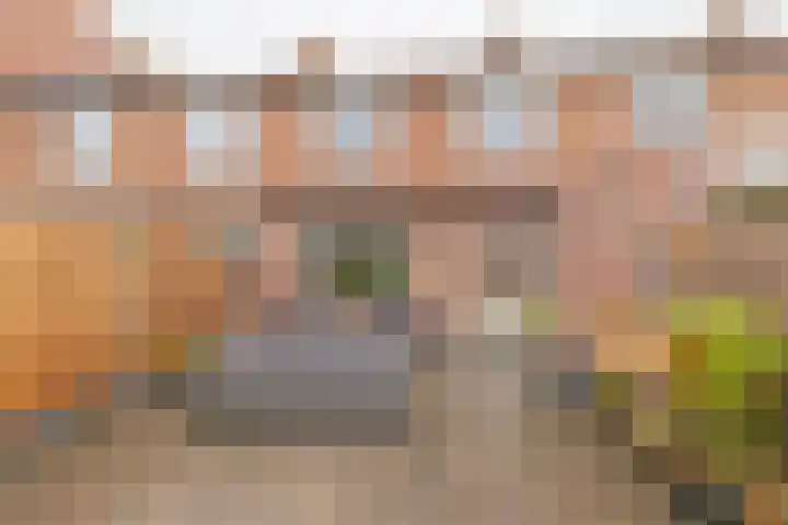 Frederik van Eedenlaan 19 Hillegom thumbnail 18