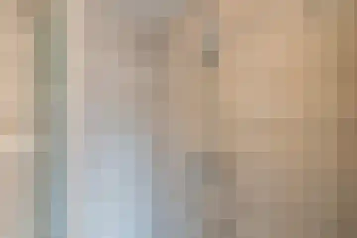 Frederik van Eedenlaan 19 Hillegom thumbnail 24
