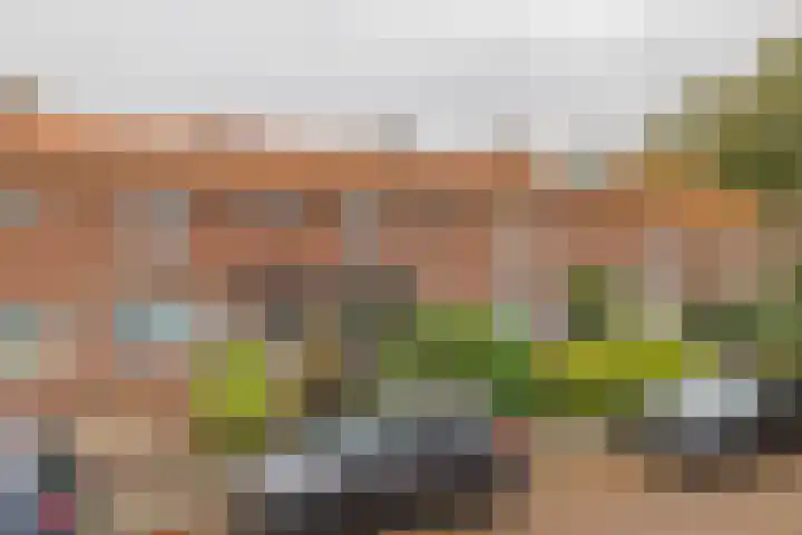 Frederik van Eedenlaan 19 Hillegom thumbnail 32