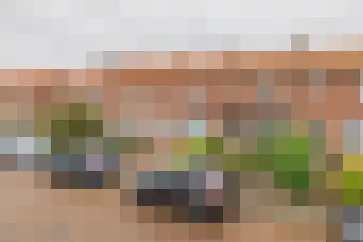 Frederik van Eedenlaan 19 Hillegom thumbnail 34