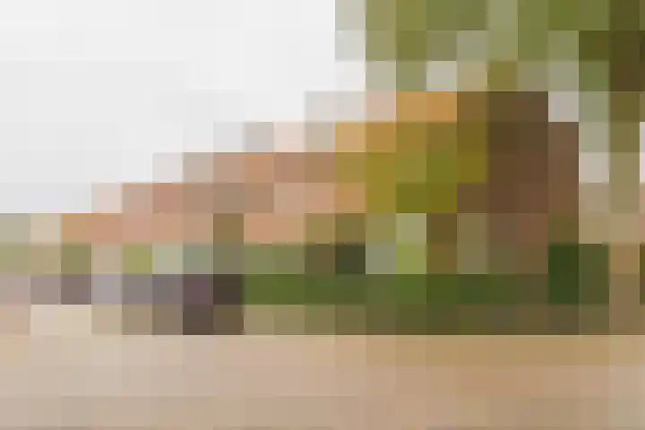 Frederik van Eedenlaan 19 Hillegom thumbnail 35