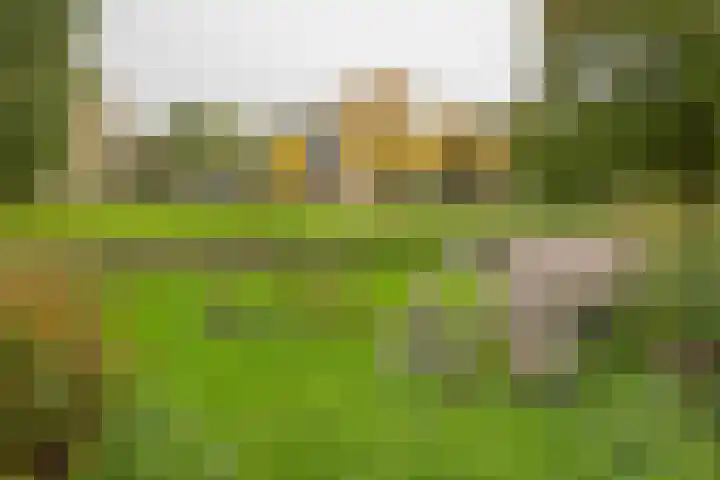 Frederik van Eedenlaan 19 Hillegom thumbnail 36
