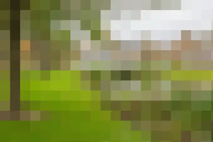 Frederik van Eedenlaan 19 Hillegom thumbnail 37
