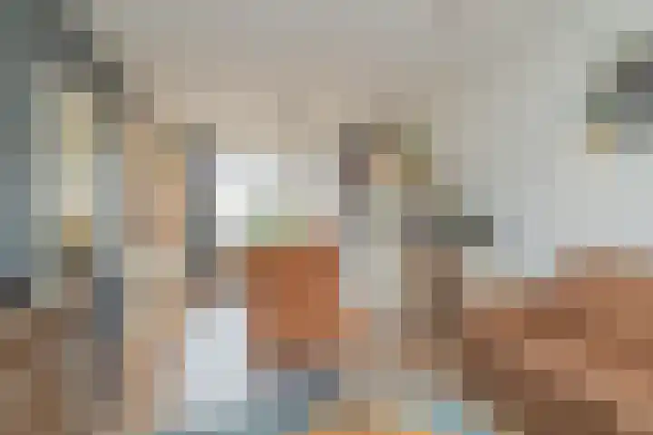 Frederik van Eedenlaan 19 Hillegom thumbnail 8