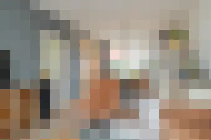 Frederik van Eedenlaan 19 Hillegom thumbnail 9