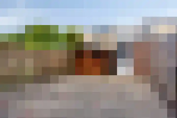 Frederik van Eedenlaan 22 Hillegom thumbnail 15