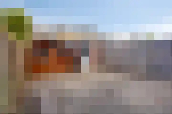 Frederik van Eedenlaan 22 Hillegom thumbnail 16