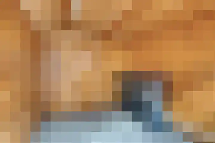 Frederik van Eedenlaan 22 Hillegom thumbnail 18
