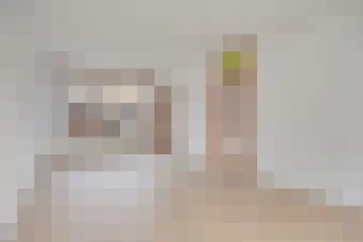 Frederik van Eedenlaan 22 Hillegom thumbnail 4