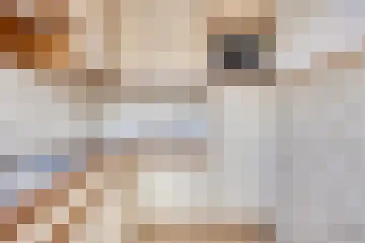 Frederik van Eedenlaan 22 Hillegom thumbnail 7