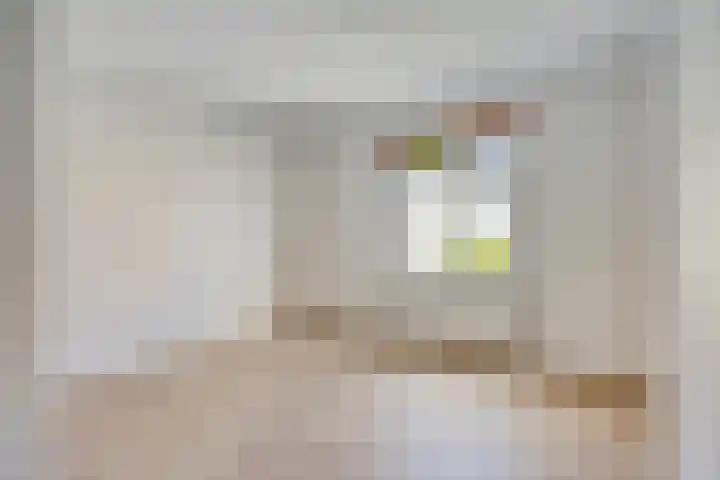 Frederik van Eedenlaan 22 Hillegom thumbnail 8