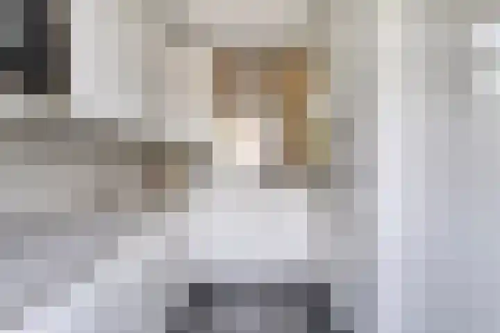 Frederik van Eedenlaan 25 Delft thumbnail 12
