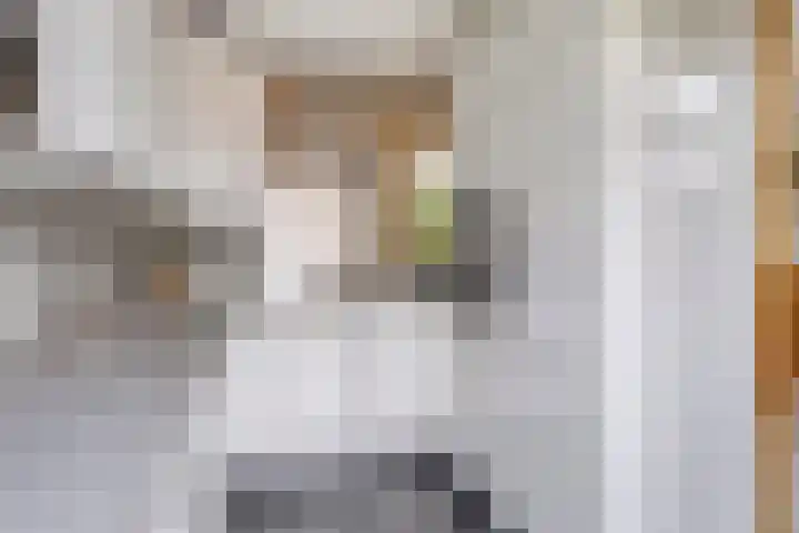 Frederik van Eedenlaan 25 Delft thumbnail 13