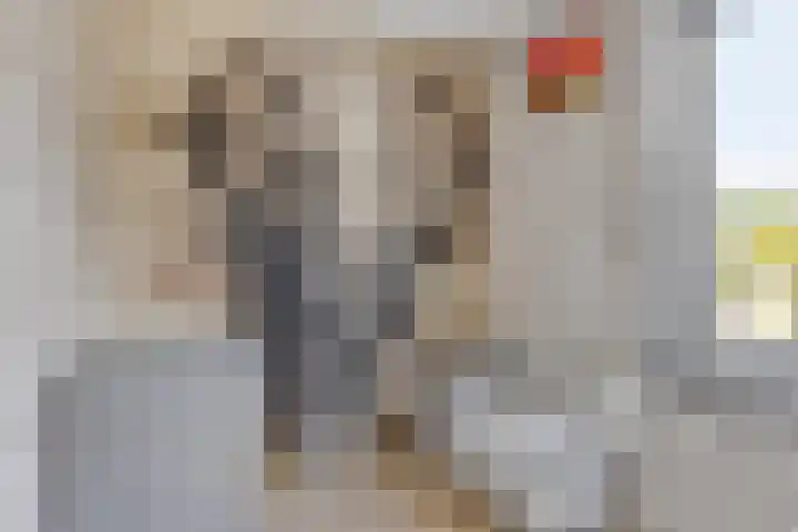Frederik van Eedenlaan 25 Delft thumbnail 34