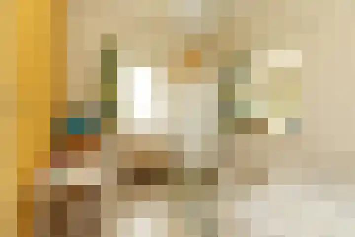 Frederik van Eedenlaan 26 Hilversum thumbnail 19