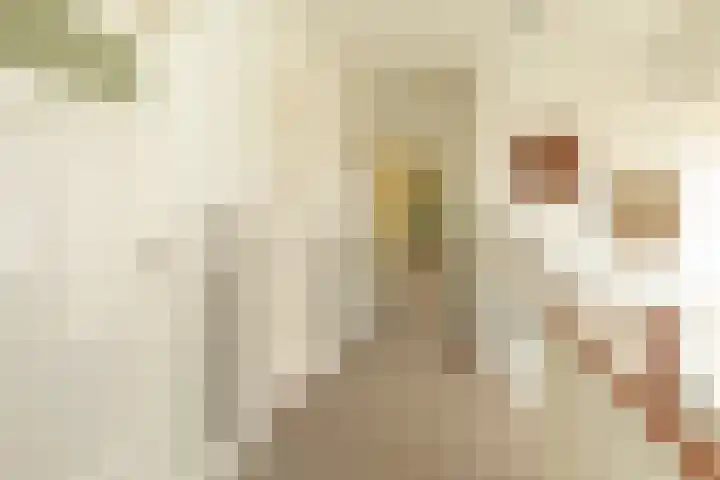 Frederik van Eedenlaan 26 Hilversum thumbnail 23