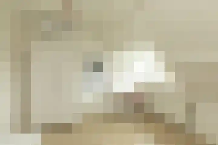 Frederik van Eedenlaan 26 Hilversum thumbnail 24