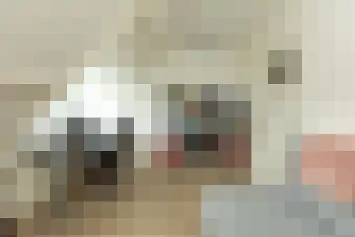 Frederik van Eedenlaan 26 Hilversum thumbnail 28