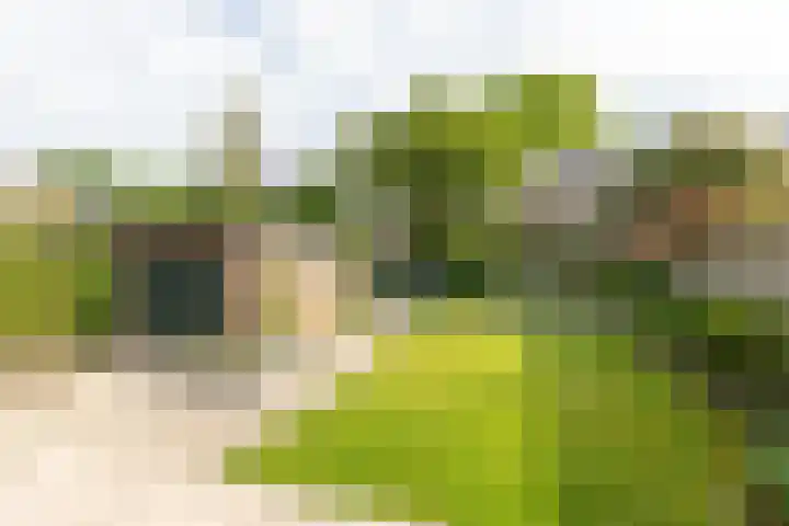 Frederik van Eedenlaan 26 Hilversum thumbnail 32