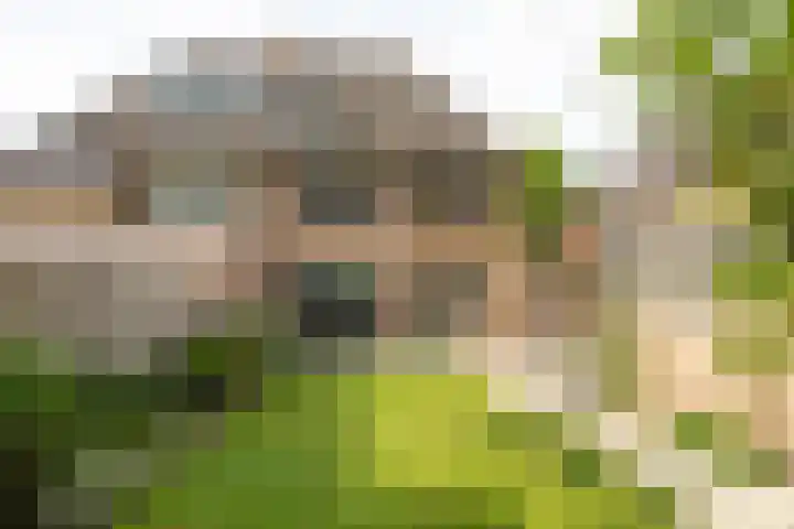 Frederik van Eedenlaan 26 Hilversum thumbnail 35